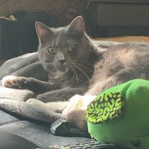 Meet your Posher, Isabella